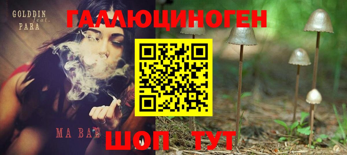 Псилоцибиновые грибы Magic Shrooms  Псилоцибиновые грибы мухоморы  Вход с VPN  Псков 